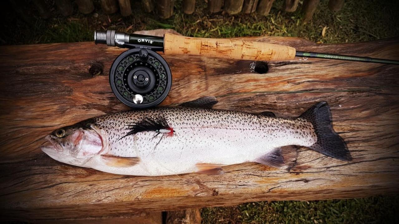 Copperleigh Trout Cottages Dargle Экстерьер фото